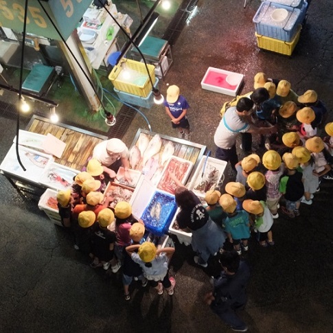 大阪府中央卸売市場における水産仲卸見学風景