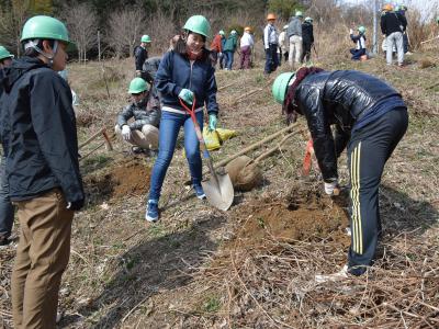 参加者で植栽の植穴を掘る作業の写真