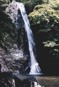 箕面の滝の写真