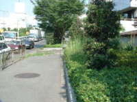 画像です。元茨木川緑地