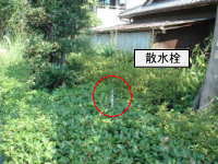 画像です。元茨木川緑地