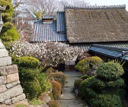 大道旧山本家住宅を眺める日本遺産竹内街道