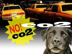 CO2削減！！！