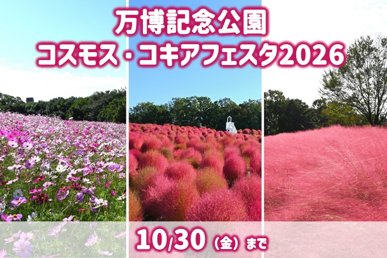 万博記念公園　コスモス・コキアフェスタ