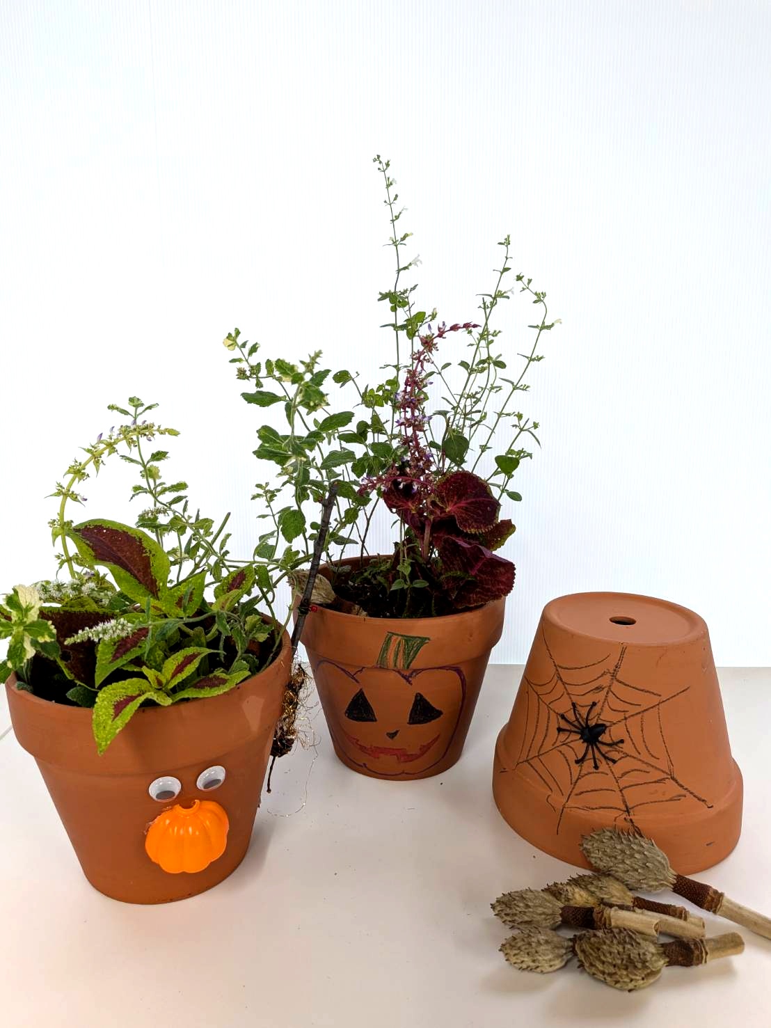 ハーブ等の寄せ植え
