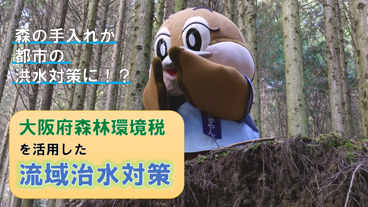 動画のサムネイル（大阪府森林環境税を活用した流域治水対策）