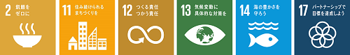 sdg_icon