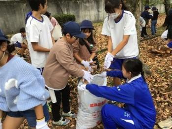 拡大クリーン作戦