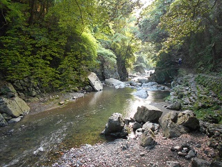 芥川（摂津峡）の写真