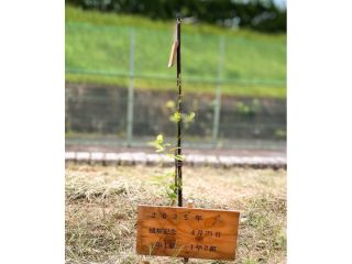 泉北高等支援学校