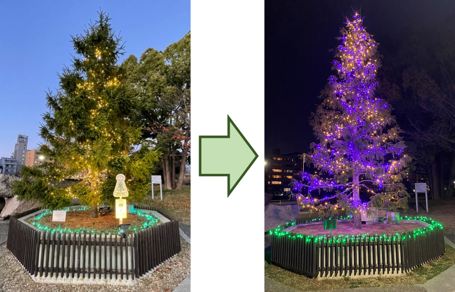 シンボルツリー