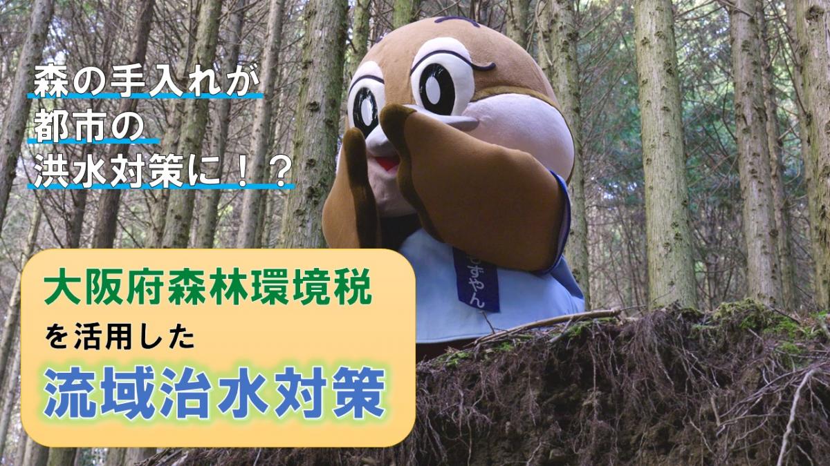 大阪府森林環境税を活用した流域治水対策の取組(ロングバージョン)