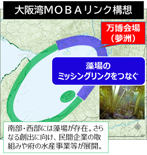 大阪湾MOBAリンク構想
