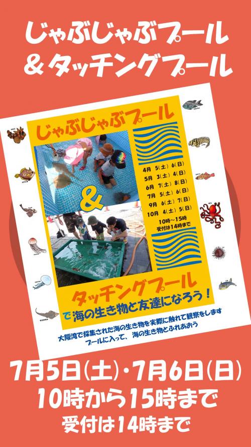 じゃぶじゃぶ＆タッチングプール