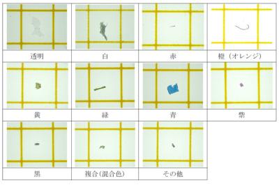 マイクロプラスチックの色別分類