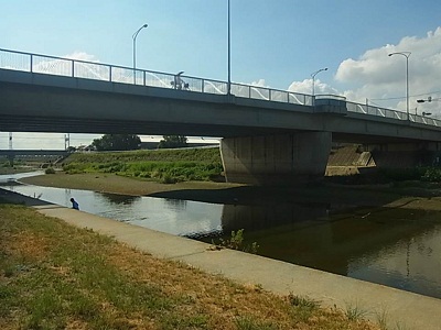 河川調査地点 大津川 大津川橋