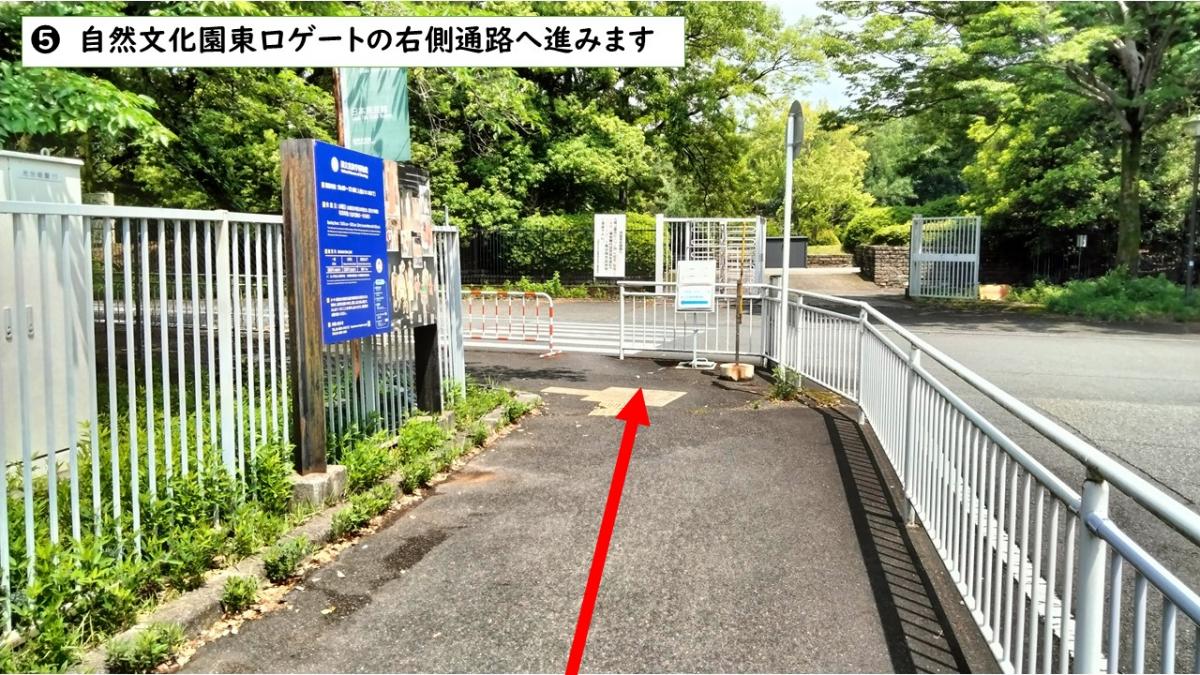 大阪モノレール公園東口駅からのルート