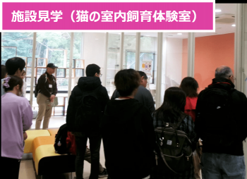 施設見学（猫の室内飼育体験室）
