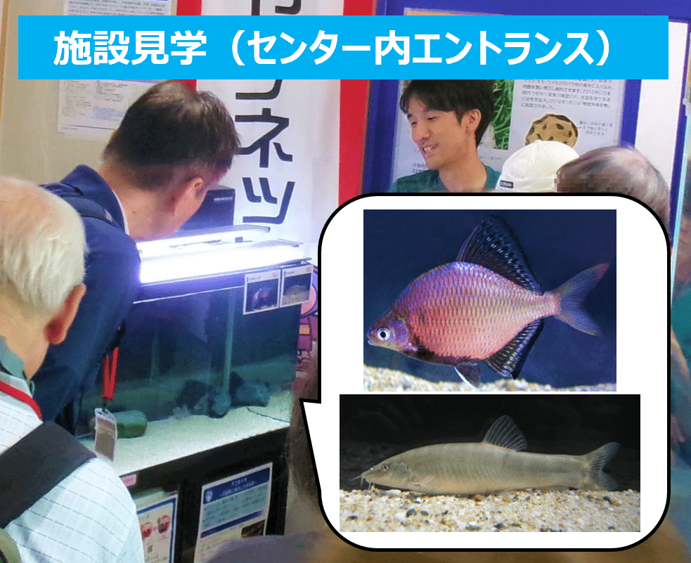 施設見学(センター内エントランス)