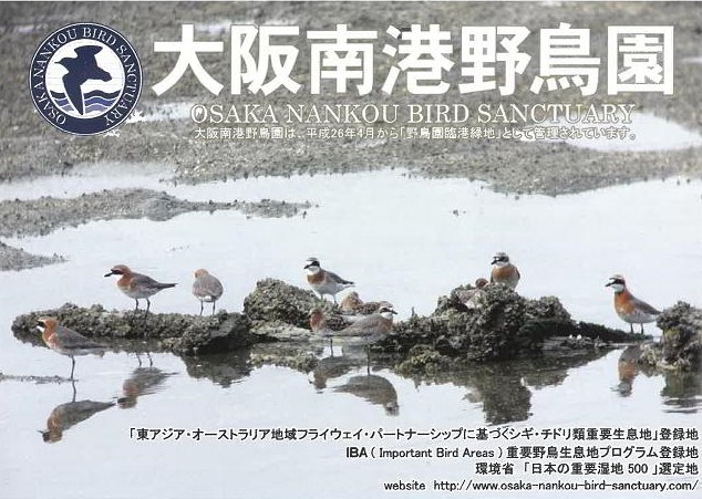 大阪南港野鳥園