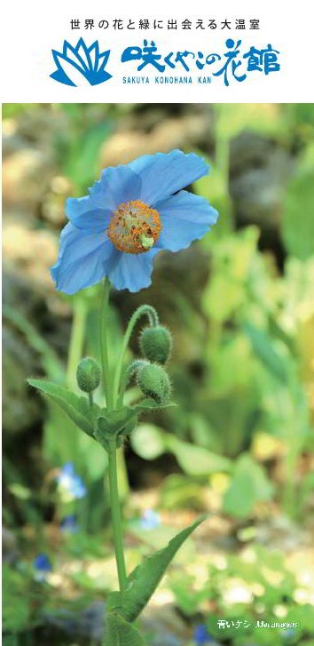 咲くやこの花館パンフレット