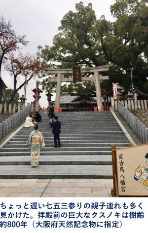 百舌鳥八幡神社の七五三参りの様子