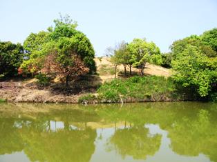 久米田公園（市指定史跡　久米田古墳群）