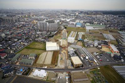 調査区を南から撮影した全景写真