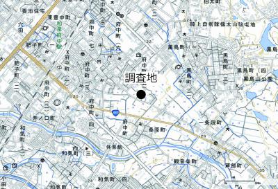 府中遺跡の調査区の位置を示した図