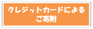 クレジットカードによるご寄附