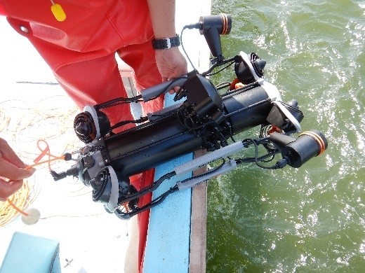 効果的な藻場モニタリング手法