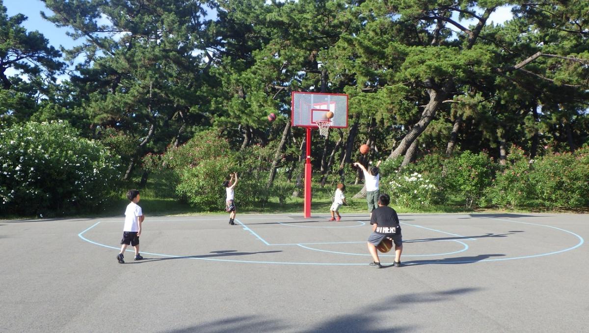 浜寺公園バスケットゴール