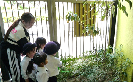 西平野幼稚園児が水やり