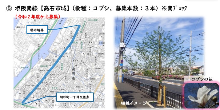 堺市境界から助松町1丁目交差点の路線と植栽イメージ