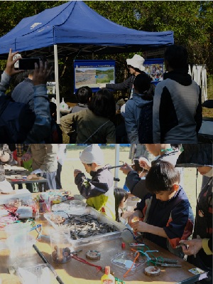 misakityou_tanagawabio