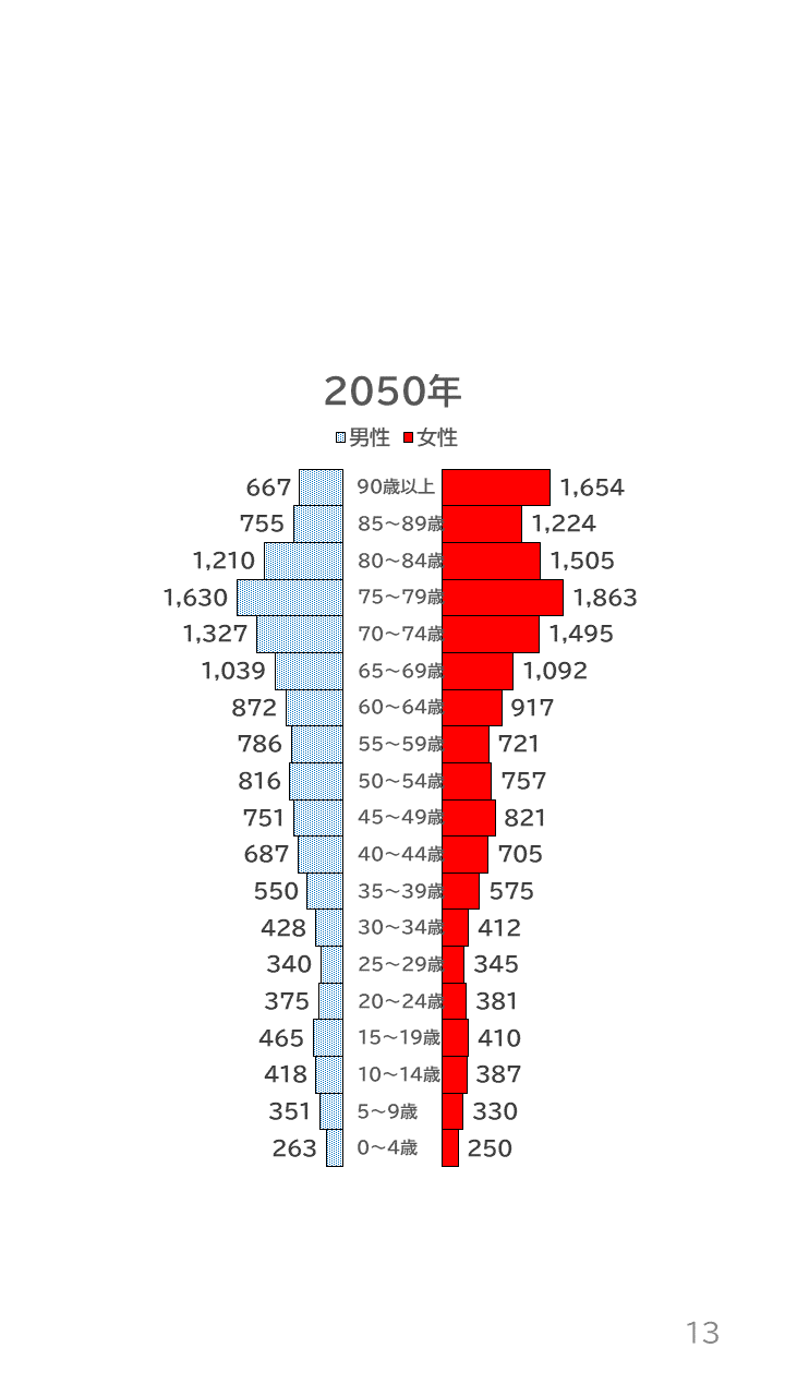 地域の未来予測（泉州南3市1町）P13