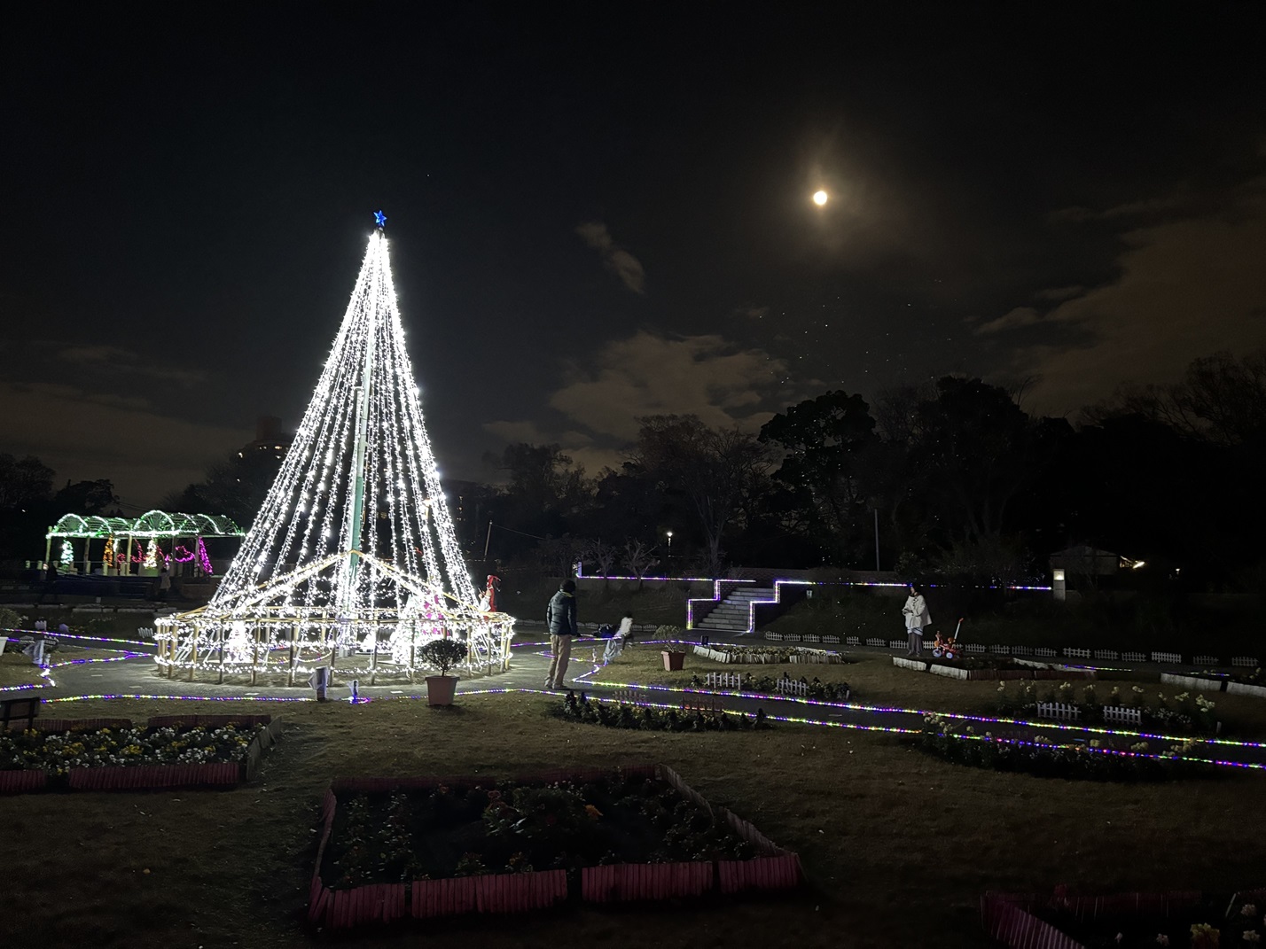住之江公園　ウインターイルミネーション
