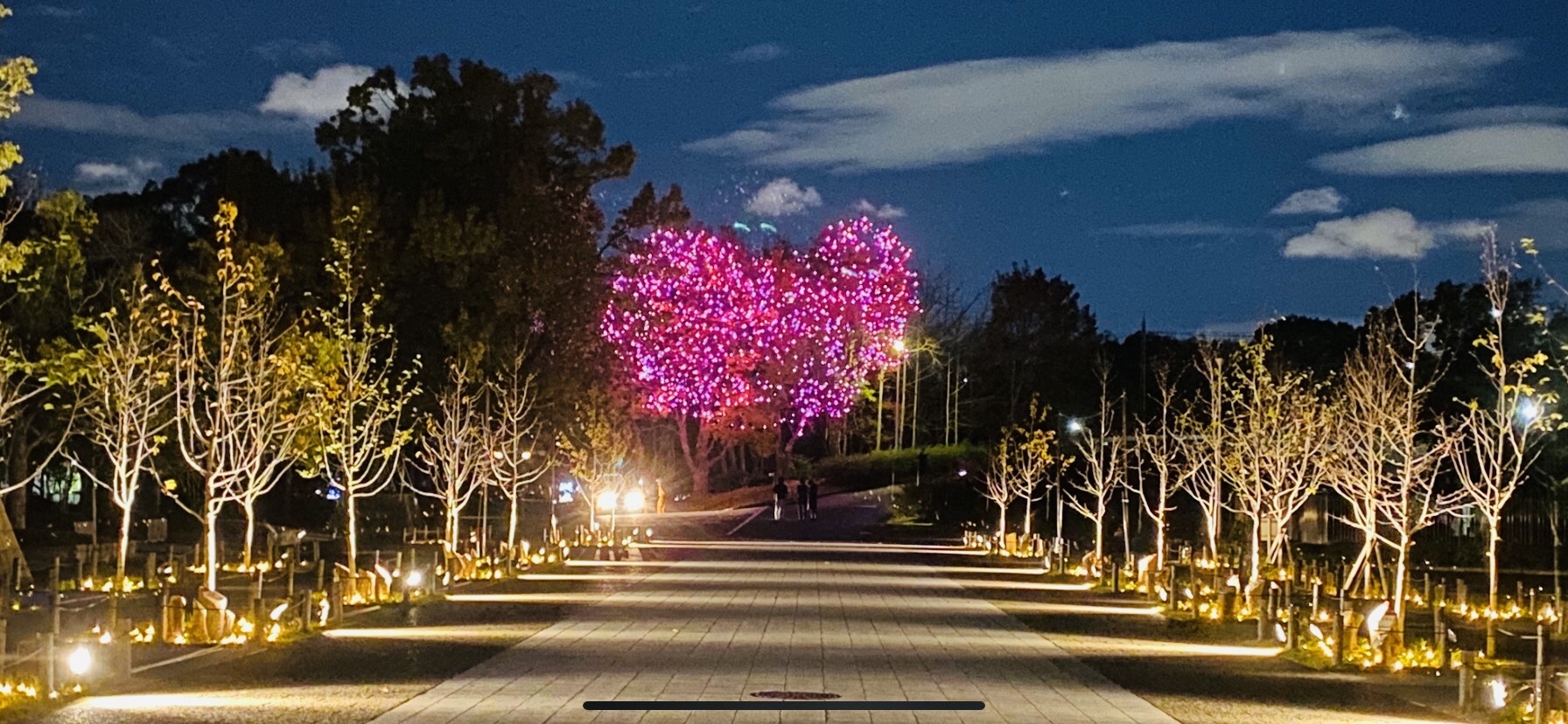久宝寺緑地クリスマスイルミネーション