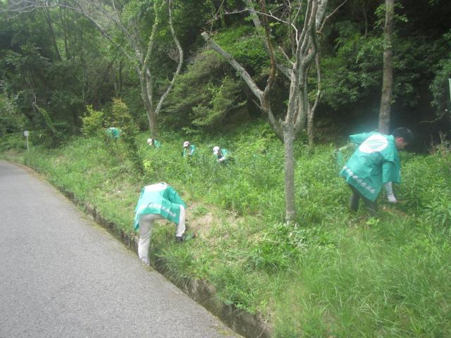 6月の活動作業中