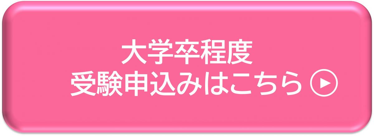 大学卒程度受験申込みはこちら