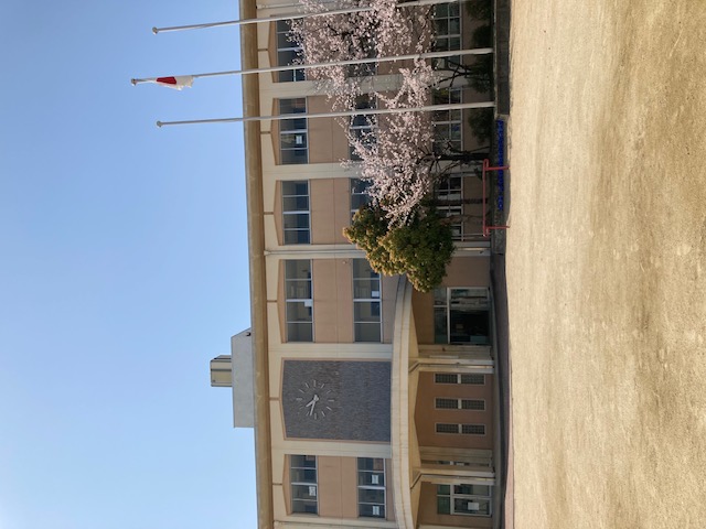 忠岡小学校2