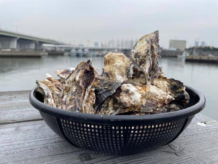 忠岡　牡蠣