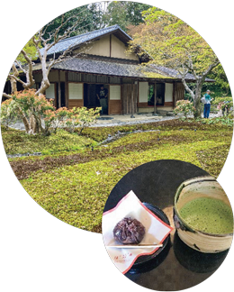 日本庭園茶室、汎庵・万里庵の特別公開と汎庵・呈茶の画像