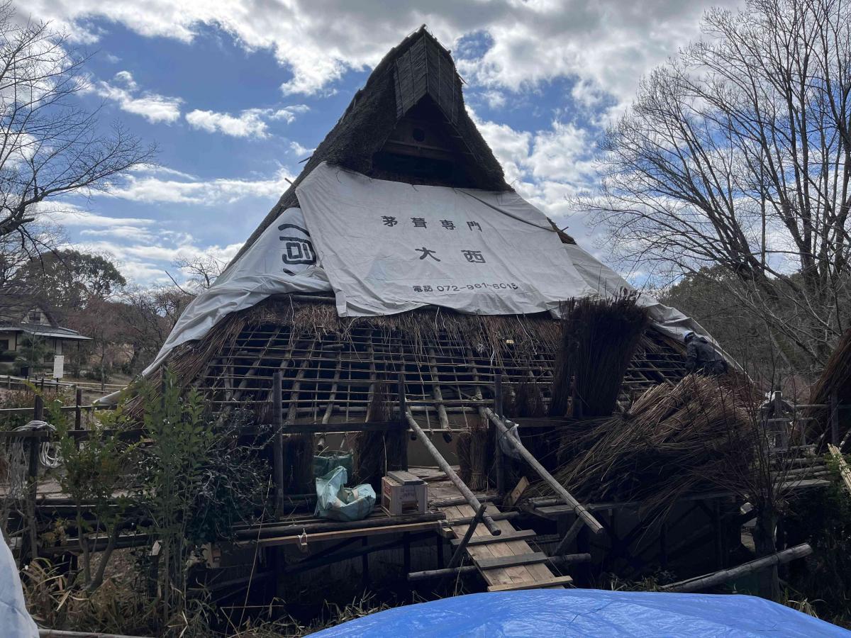 2月3日　茅3