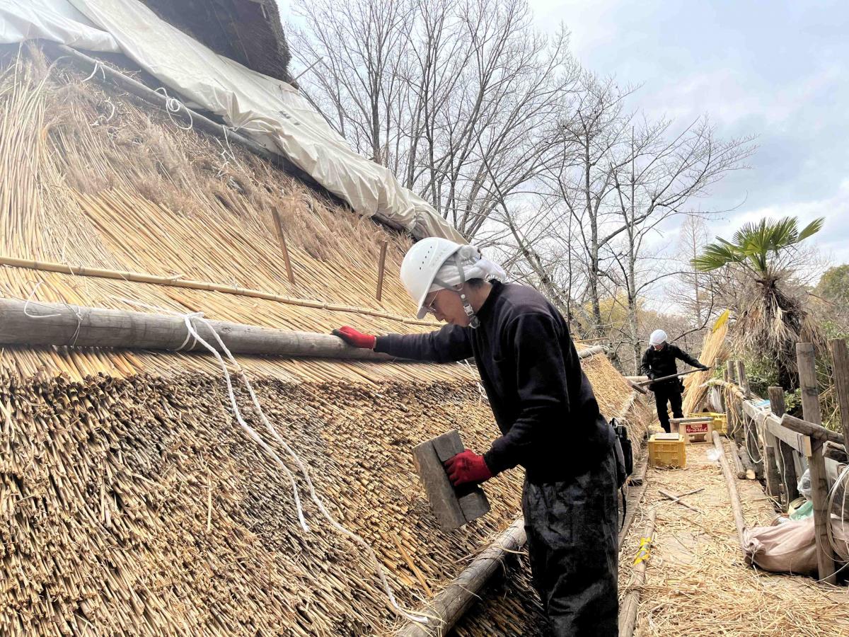 2月4日　茅4