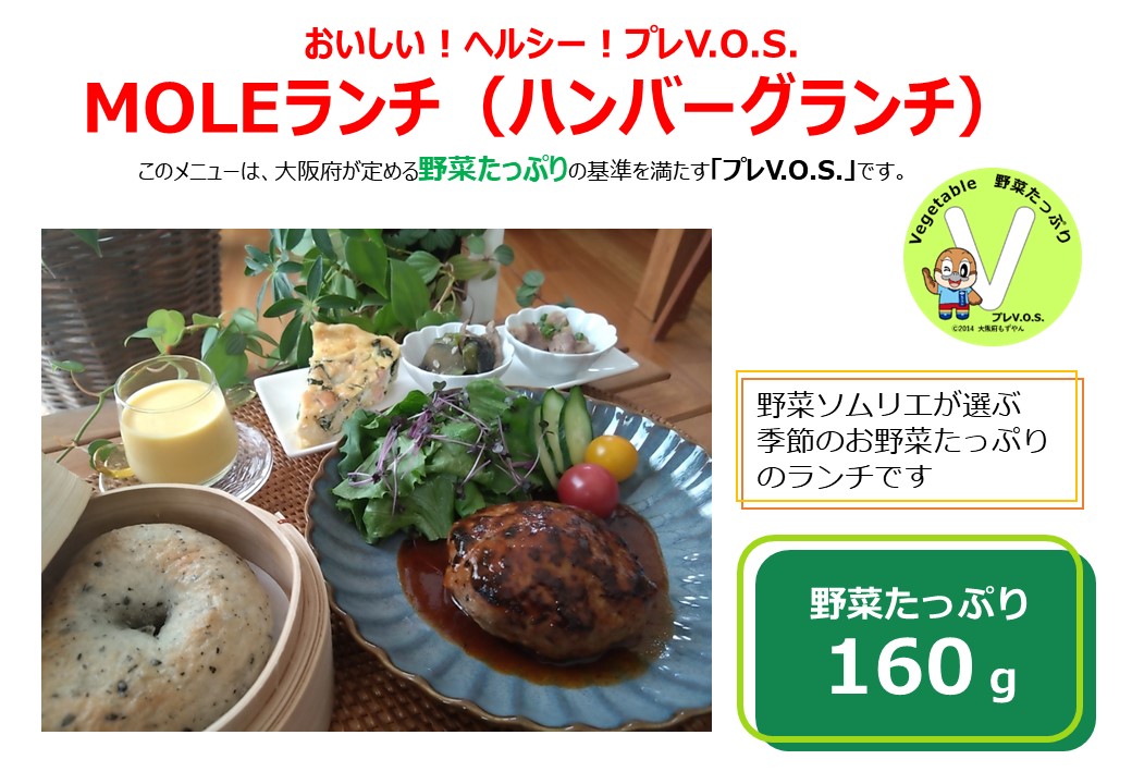 MOLEランチ(ハンバーグランチ)