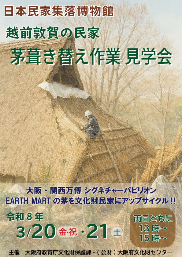 越前敦賀の民家　茅葺き替え作業見学会