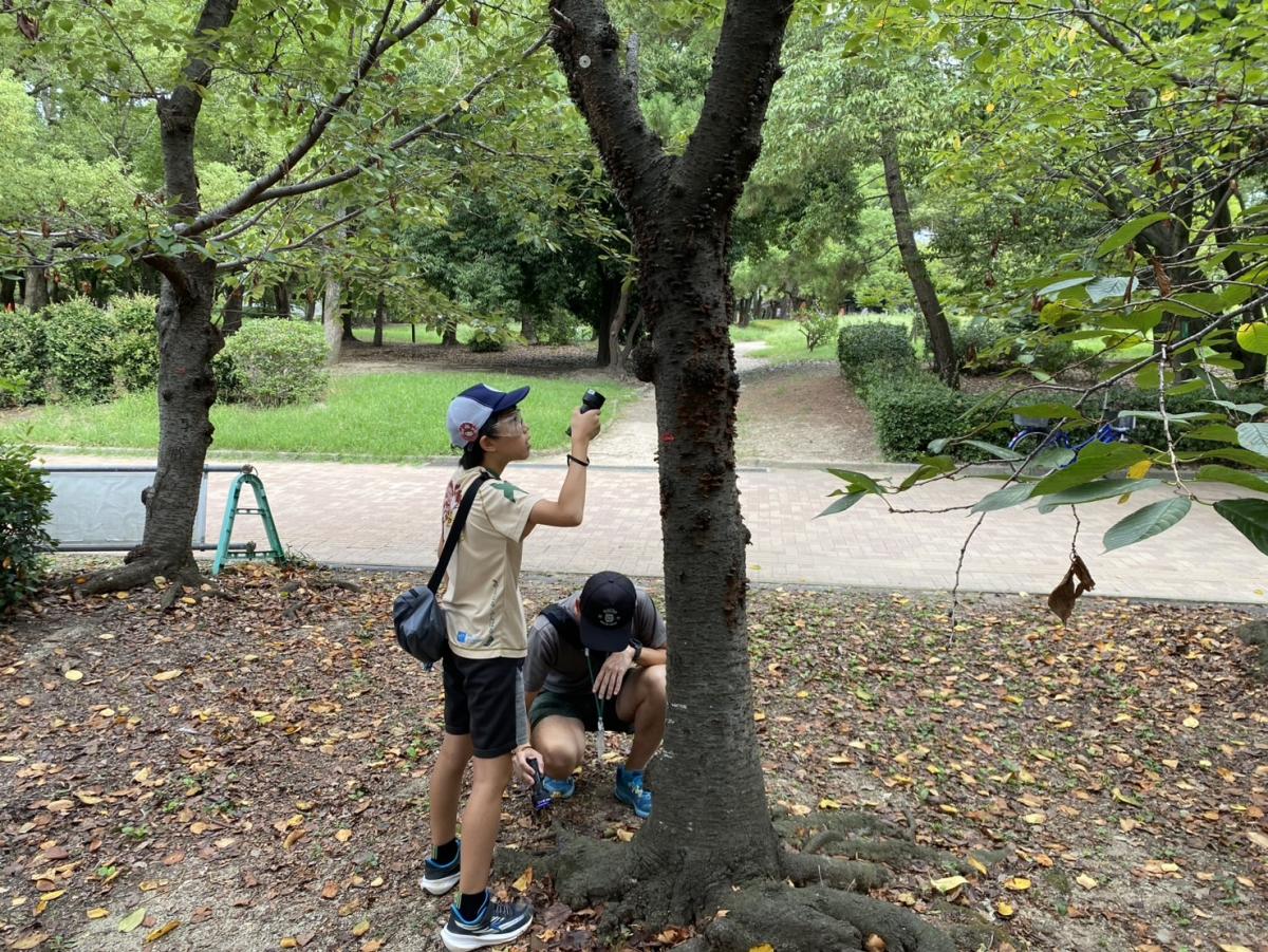 卵探しの様子
