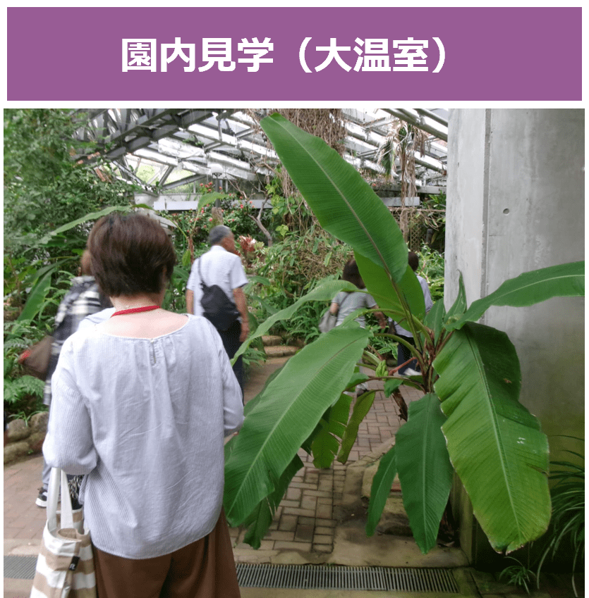 園内見学(大温室)