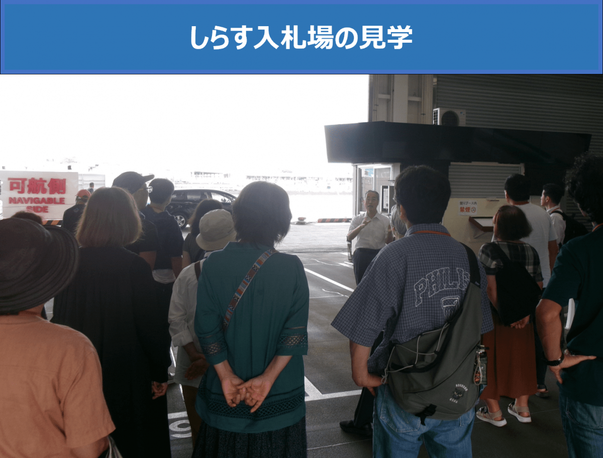 しらす入札場の見学